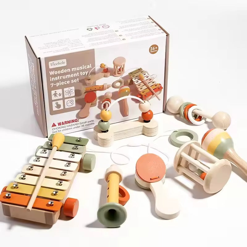Musical Instrument Toy Set