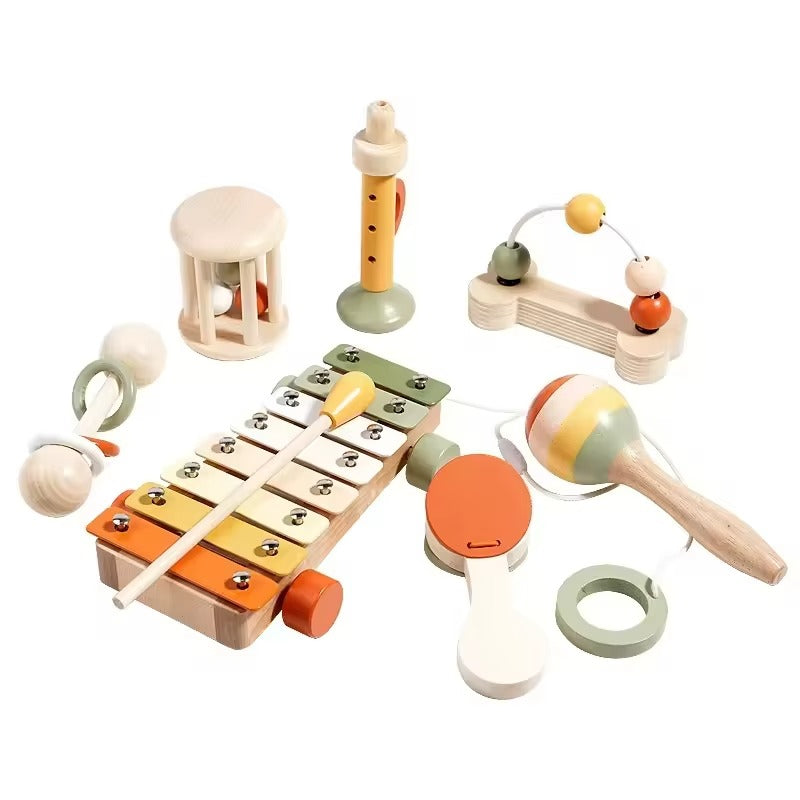 Musical Instrument Toy Set