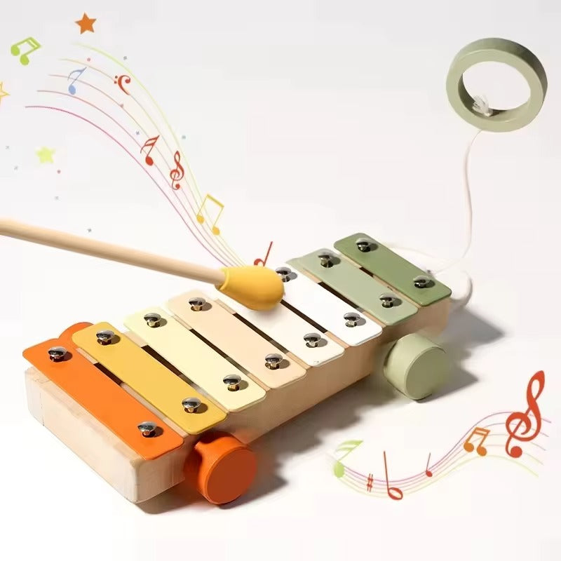 Musical Instrument Toy Set